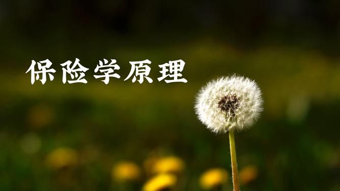 博彩平台大全